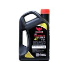 Franean 20W50 Cruise Engine Oil (Synthetic Technology)